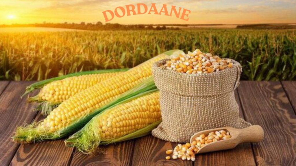با نشاسته ذرت چی درست کنیم؟