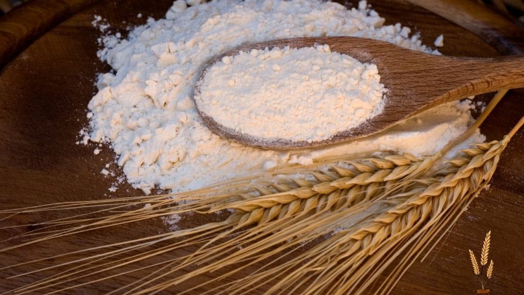 تفاوت نشاسته ذرت و گندم چیست؟