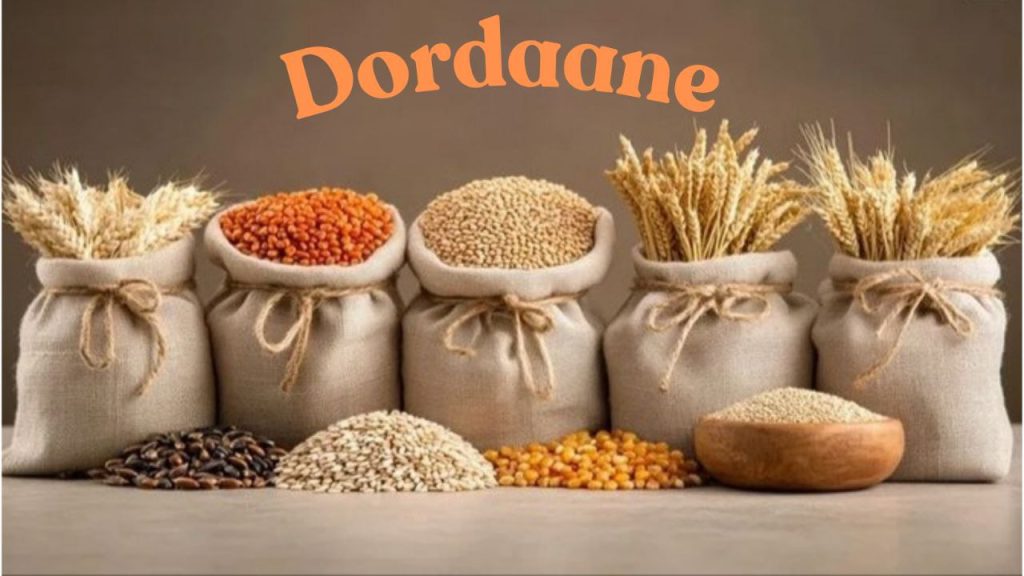 photo_1_2025-07-01_20-06-13 چند مدل نشاسته داریم