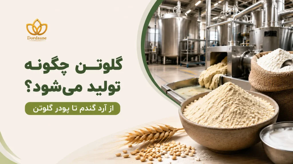 گلوتن چگونه تولید میشود؟