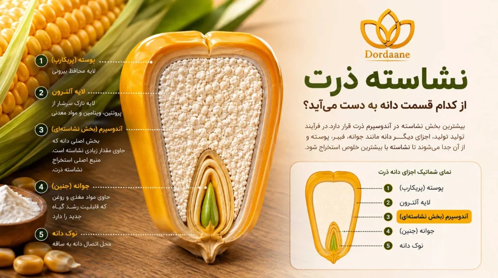 خرید عمده نشاسته ذرت خرید عمده نشاسته ذرت