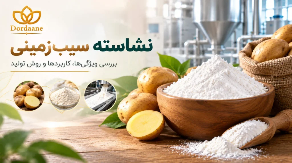 نشاسته سیب زمینی چیست؟