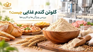 گلوتن گندم غذایی چیست؟
